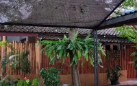 Vila Mas, Banana Leaf Vila - 2-Star