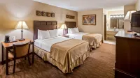 Best Western Center Pointe Inn - Wifi
