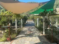 Blue Bay Beach Hotel - Pet friendly