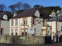 Twin Lions Hotel Hotels in Murrayfield