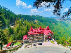 Hotel Shimla Hills International