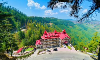 Hotel Shimla Hills International