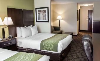 Comfort Suites West Indianapolis - Brownsburg