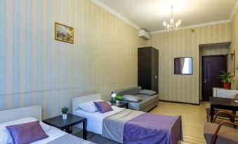 Vikena Mini Hotel