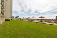 Peppertree by the Sea