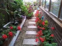 The Ambassador Townhouse 버크데일 주변 호텔