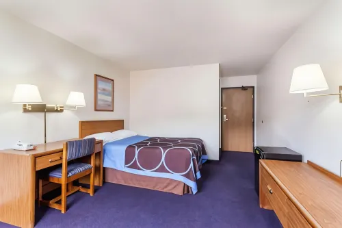 Super 8 by Wyndham Sidney NY