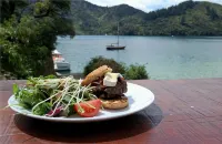 Lochmara Lodge - 20Mins by Boat from Picton - servizio colazione