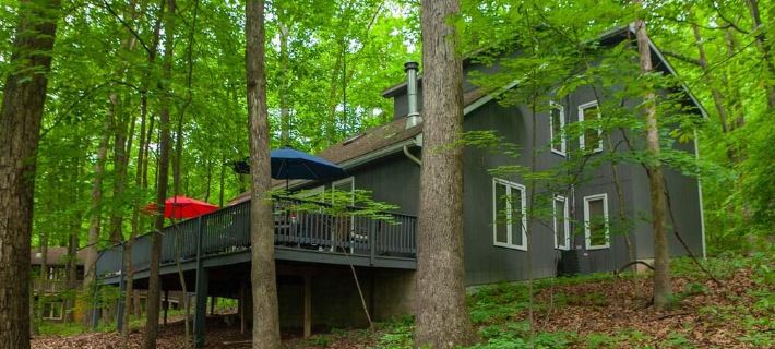 Coolfont 4 Bdrm, Lots of Beds! Cozy Wooded Cottage. Hotels in Morgan County