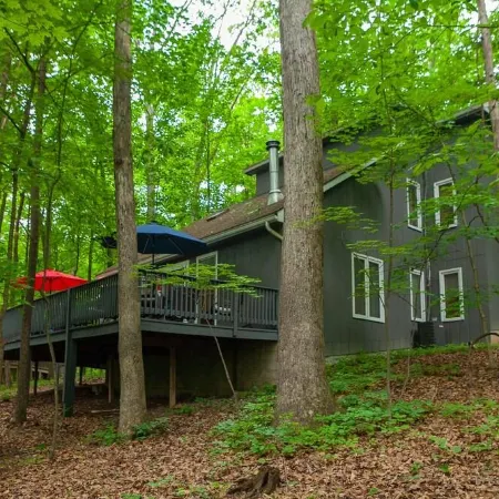 Coolfont 4 Bdrm, Lots of Beds! Cozy Wooded Cottage.