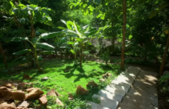 Maewin Guest House and Resort