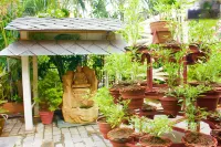 Hotel Himalayan Inn Hotels in 