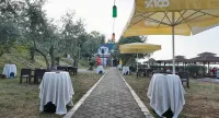 Pasa Tatil Koyu - Havudsigt