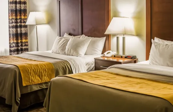 布爾什瑞昂舒適酒店