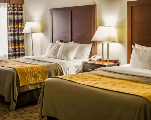 Comfort Inn Hotel di Birch Run