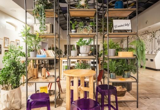 Domina Fiesta 숙소 이미지