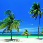 Hotel Playa Costa Verde โรงแรมใน