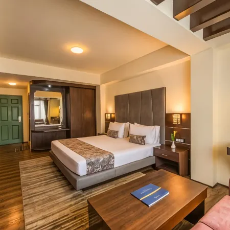 Udaan Woodberry Hotel & Spa Отели рядом с достопримечательностью «Храм Хануман-Ток»