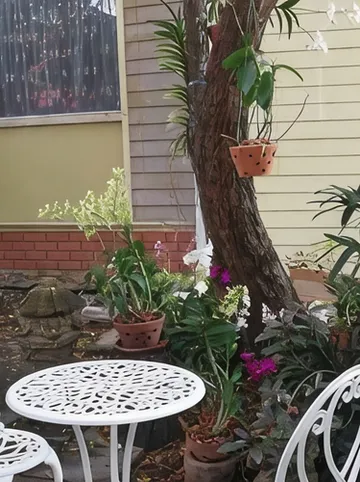 รูปภาพของนอนในสวน รีสอร์ท