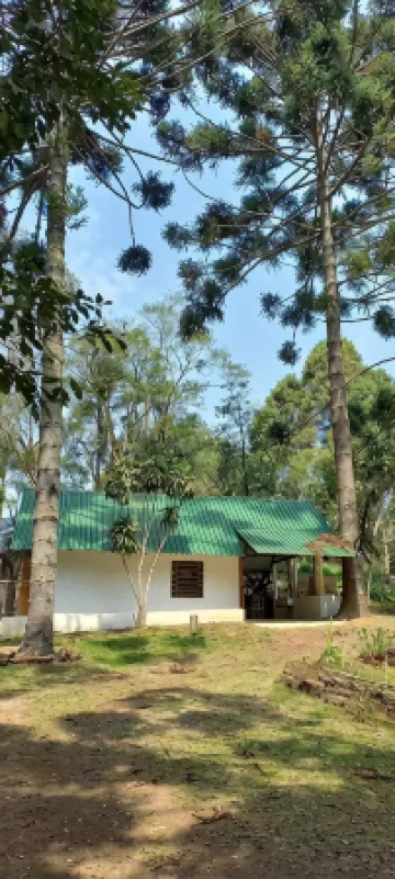 Gaia Point accommodation, come relax with your pet in a closed pet area!