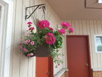 松樹林汽車旅館