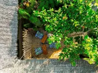 The Garten Living