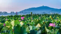 Grand Kingtown Hotel Wuxi - Romantic