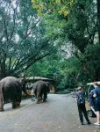Shenzhen Nanshan MTR Tanglang City Junpu Hotel - Bergblick