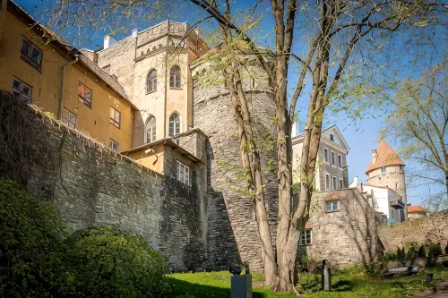 Stay in a real medieval tower (lower floors) - Homestays