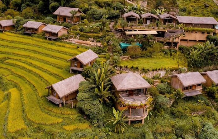 Eco Palms House - Sapa Retreat