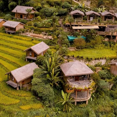Eco Palms House - Sapa Retreat Hotels near Muong Hoa valley