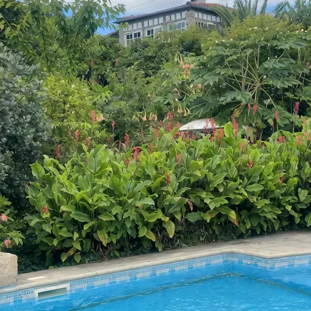 QUINTA DE RIBAS - LE VERGER - SMALL CHARMING GITE