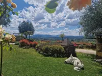 Villa Dei Pavoni - Luxury Villa on top of hills in Florence - Wifi