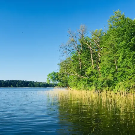 Romantic vacation home directly on Lake Rheinsberg Pet-friendly