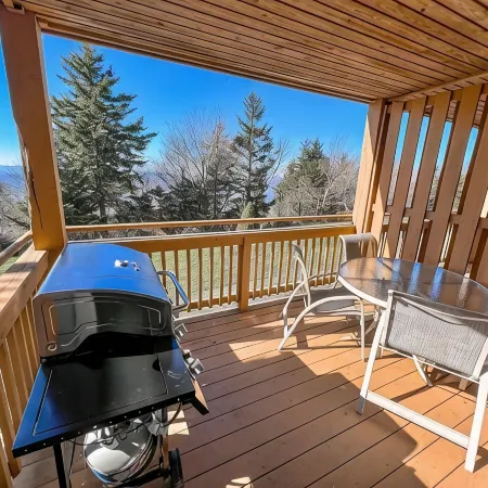 Cozy Renovated Summit Condo – 5-Min Walk to Slopes, Deer Views!