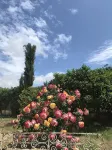 "The Garden of Athena" suite evocative view of the Valley of the Temples. - บังกะโล