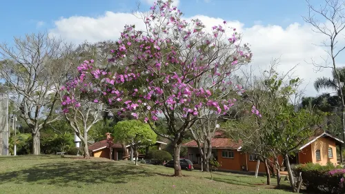Alvorada Farm - Swimming Pool, Tennis Court and Mountain Climate