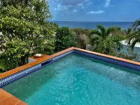 Best Views in Vieques! - Pool