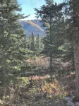 Your Home Along the Way in Denali with Consistent, Excellent Reviews