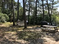 Private Lake Front Cottage - Wifi