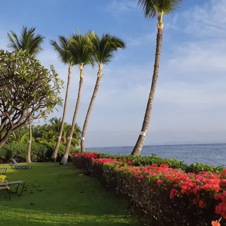 Lahaina Shores 406 Beach Front Mountain View