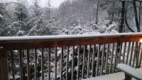 Incredible Grandfather Mountain Views!