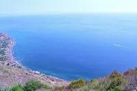 Studio One | Ocean View | Perfect Budget Couple's Retreat with Free WIFI -  Appartamenti vacanze