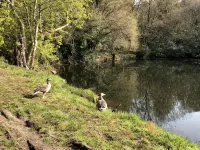 Luxury self catering holiday let in west of Scotland, near Glasgow - 3 ดาว