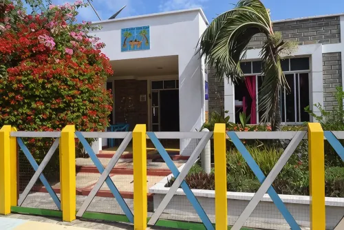 Monkey Afro Hostel - Homestays