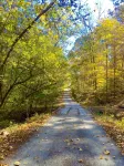 Spacious Cabin with Beautiful Sunsets in the Heart of Hiking and Wine Country - 3-Star