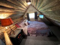 Tiny Cabin in Huron National Forest!