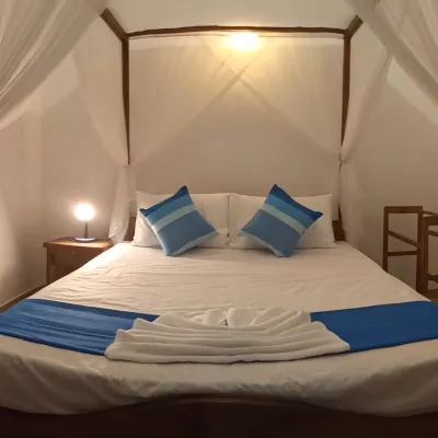 Siroy Lily Hotels near රැඩිසන් බ්ලූ බීච්
