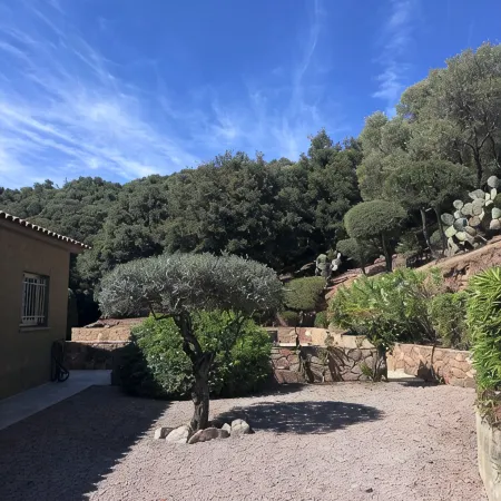 Villa with pool, between olive trees and sea - fantastic view!