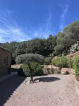 Villa with pool, between olive trees and sea - fantastic view!